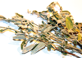 Botanical Bouquet Mountain Sage