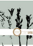 Botanical Bouquet Mountain Sage