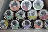 12 Pyramid Sachets in DrinkUp+Upcycle Tubes